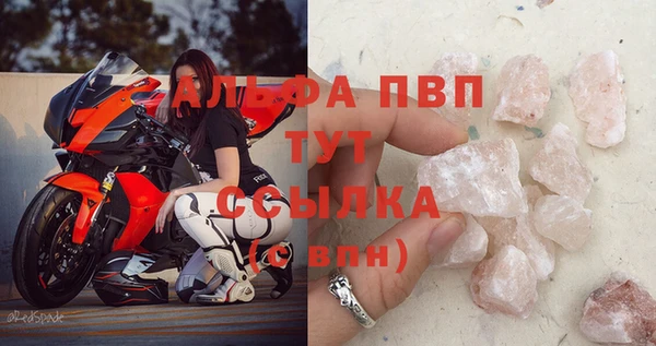 крисы Мегион