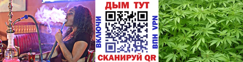 площадка наркотические препараты  Выборг  Бошки марихуана гибрид  купить закладку 